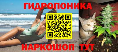 спиды Моздок