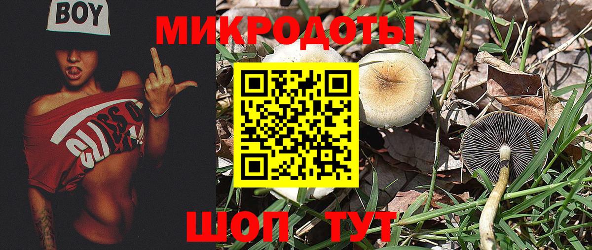 Псилоцибиновые грибы мицелий Черняховск