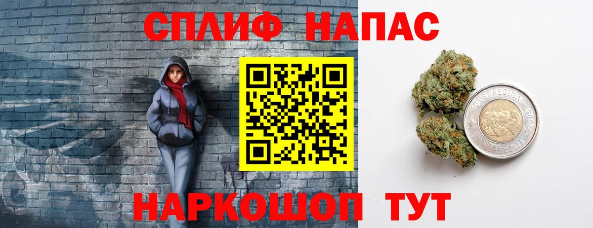 Каннабис конопля Черняховск